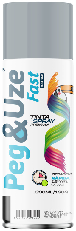 PEG&UZE FAST TINTA MET PRATA 300ML/130G EMB/6